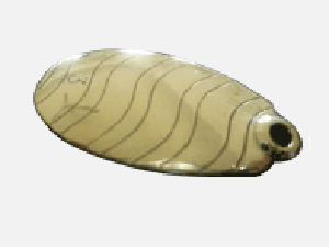 漁片0